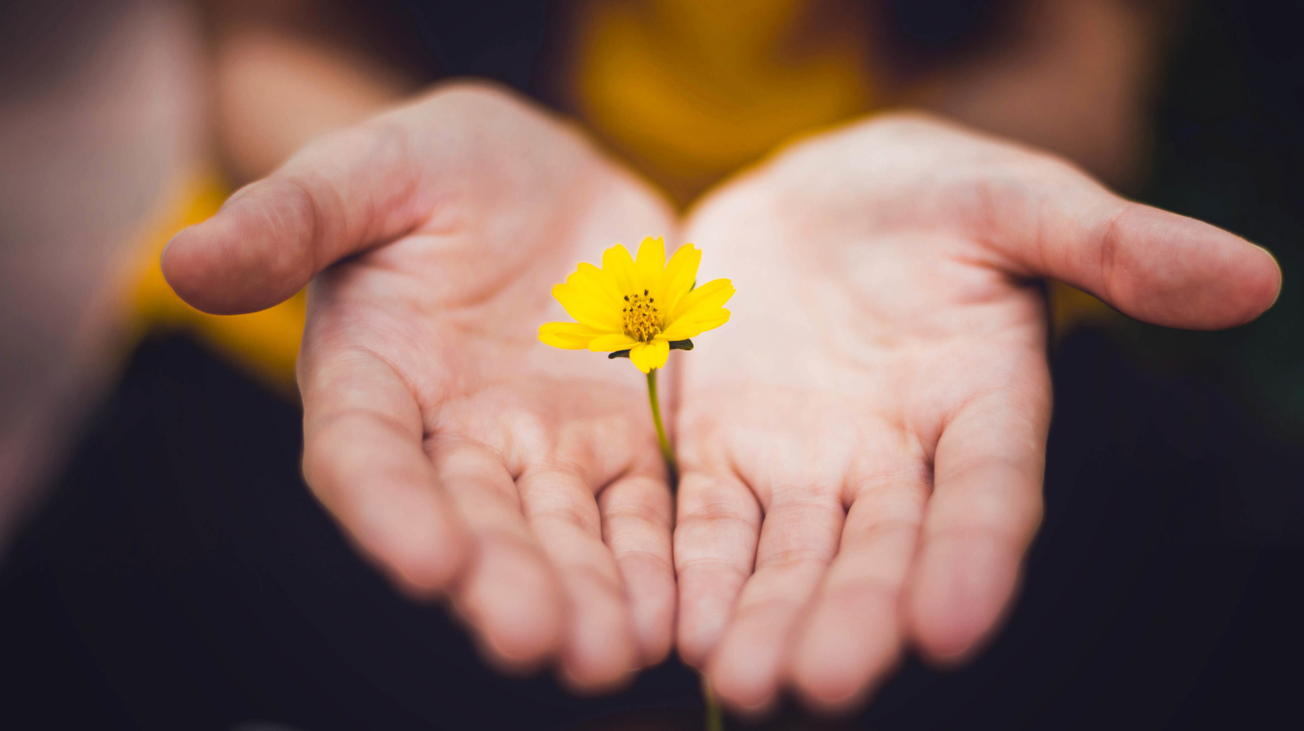 Show Hope