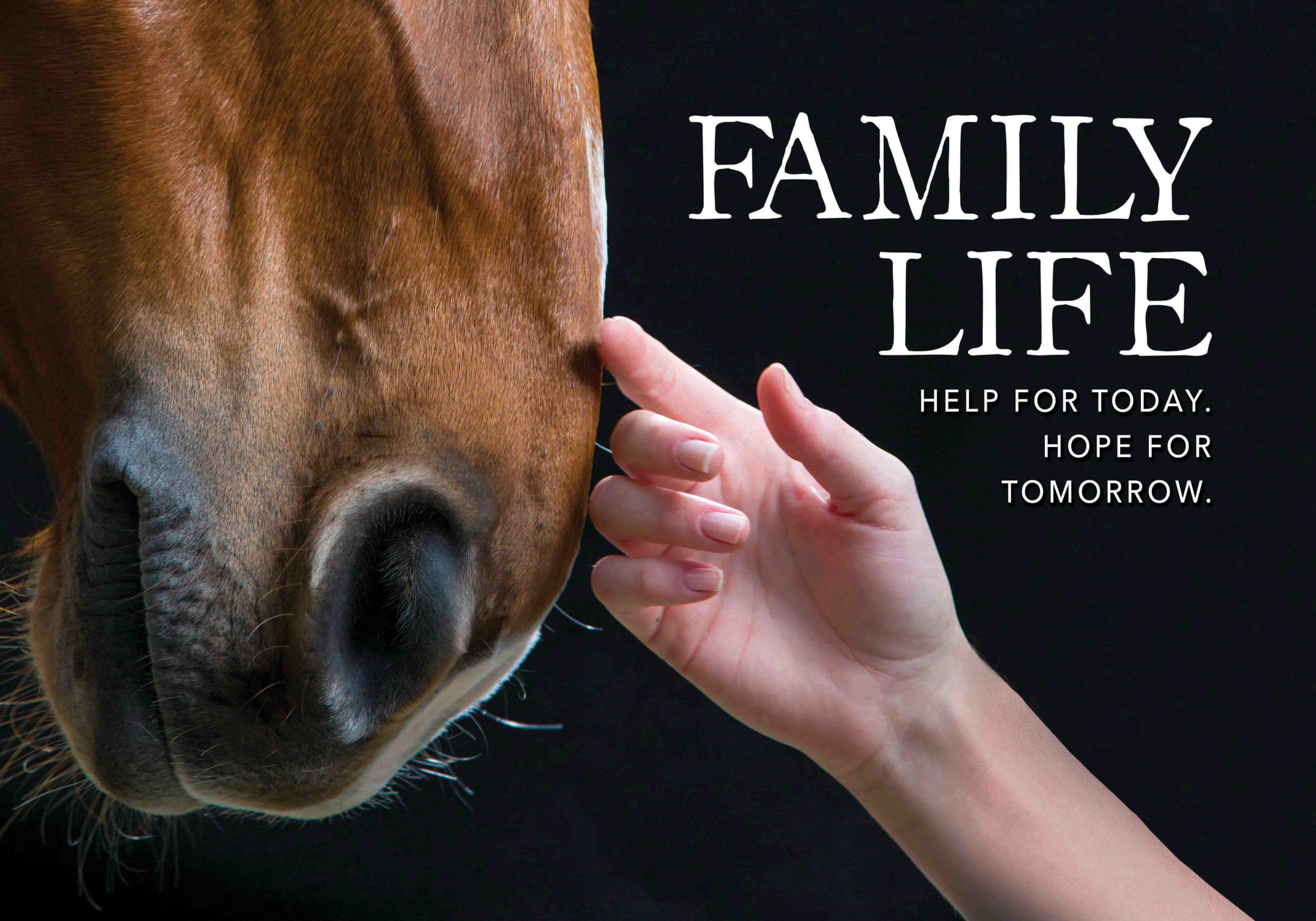 FamilyLife