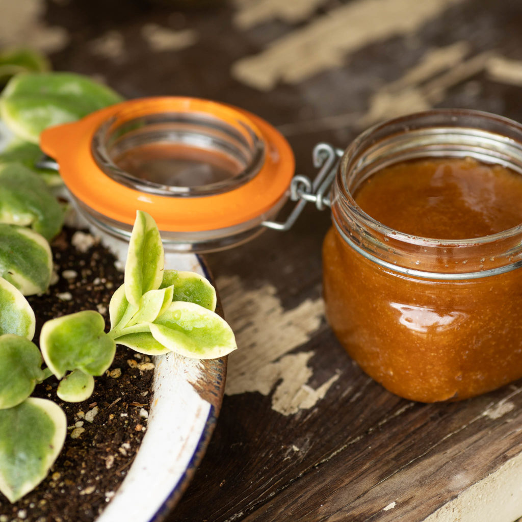 small jar of Gardeners Hand Scrub