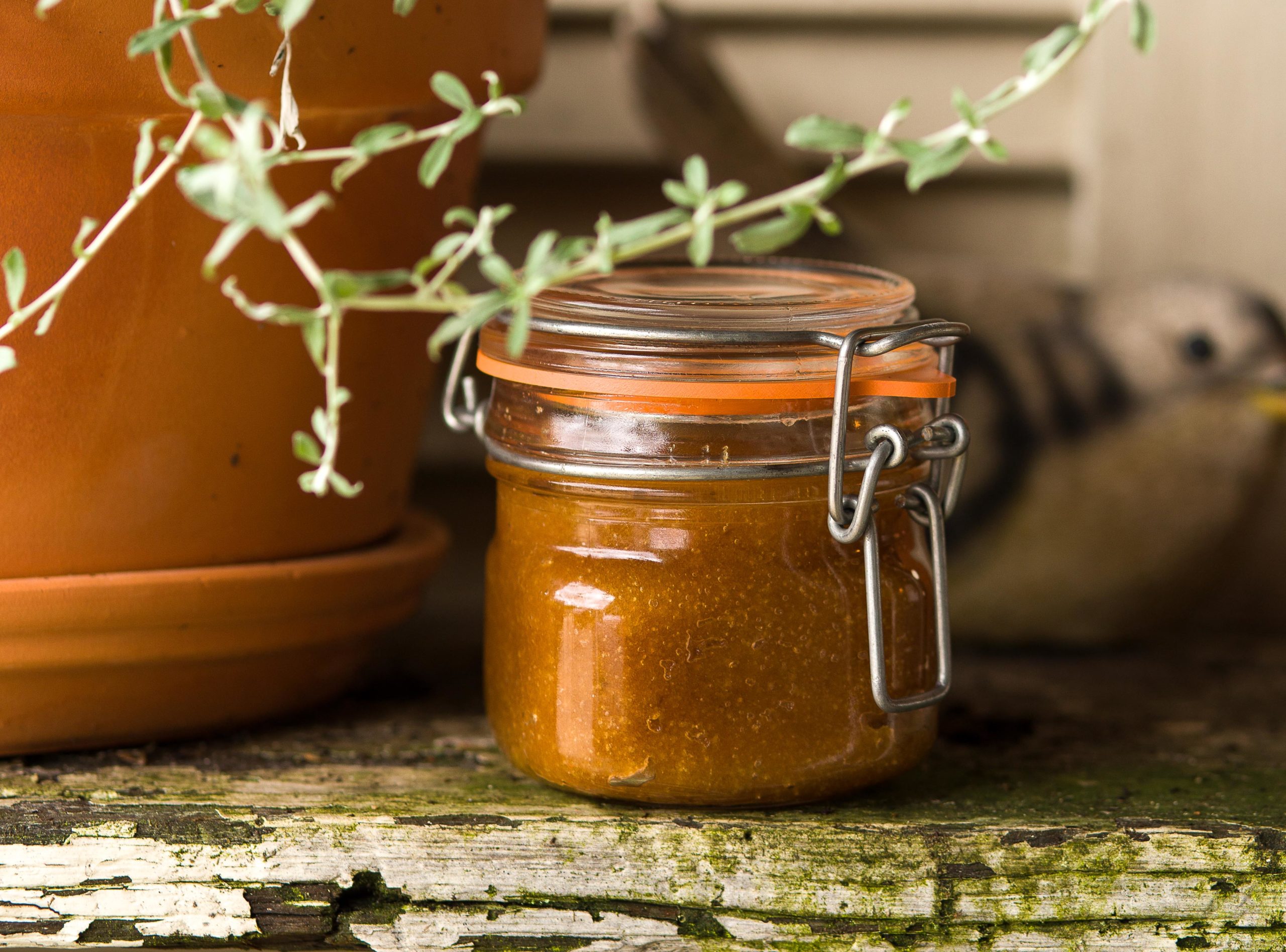 Gardener’s Hand Scrub