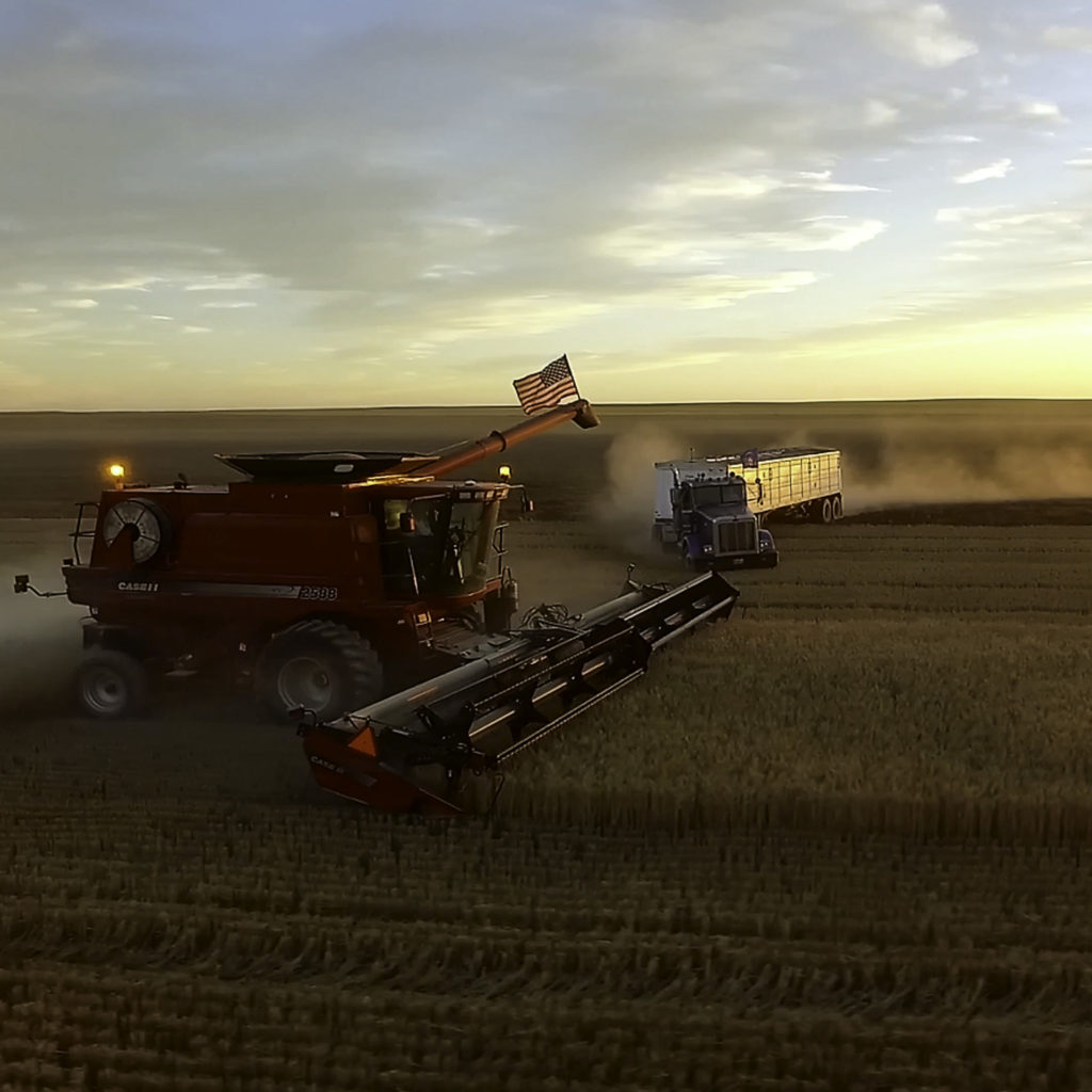Red Case IH Combine with American Flag harvesting wheat as a truck approaches to recieve grain.