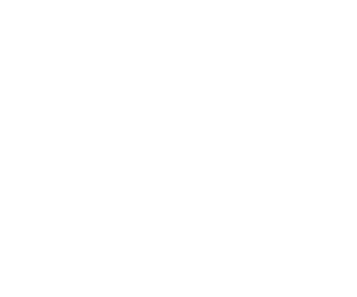 Icon Representing the United States where Plain Values is Delivered