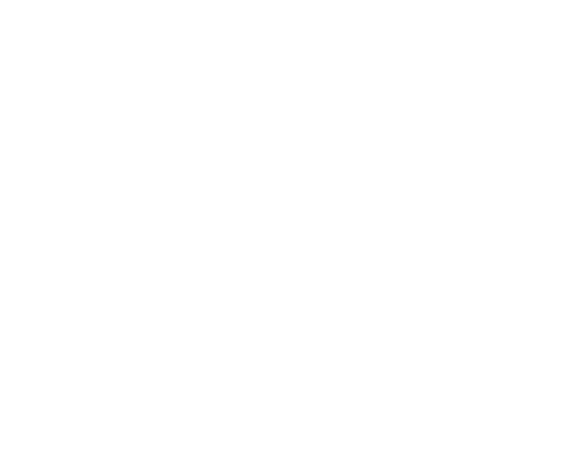 Icon Representing the Value of Advertising in Plain Values Magazine