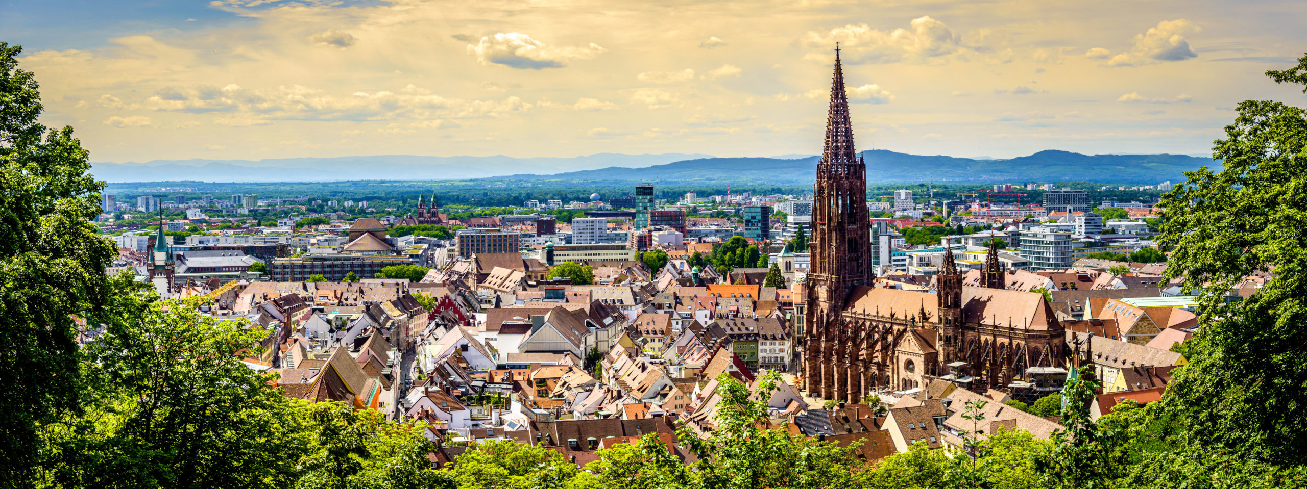 An Anabaptist Kingdom in This World