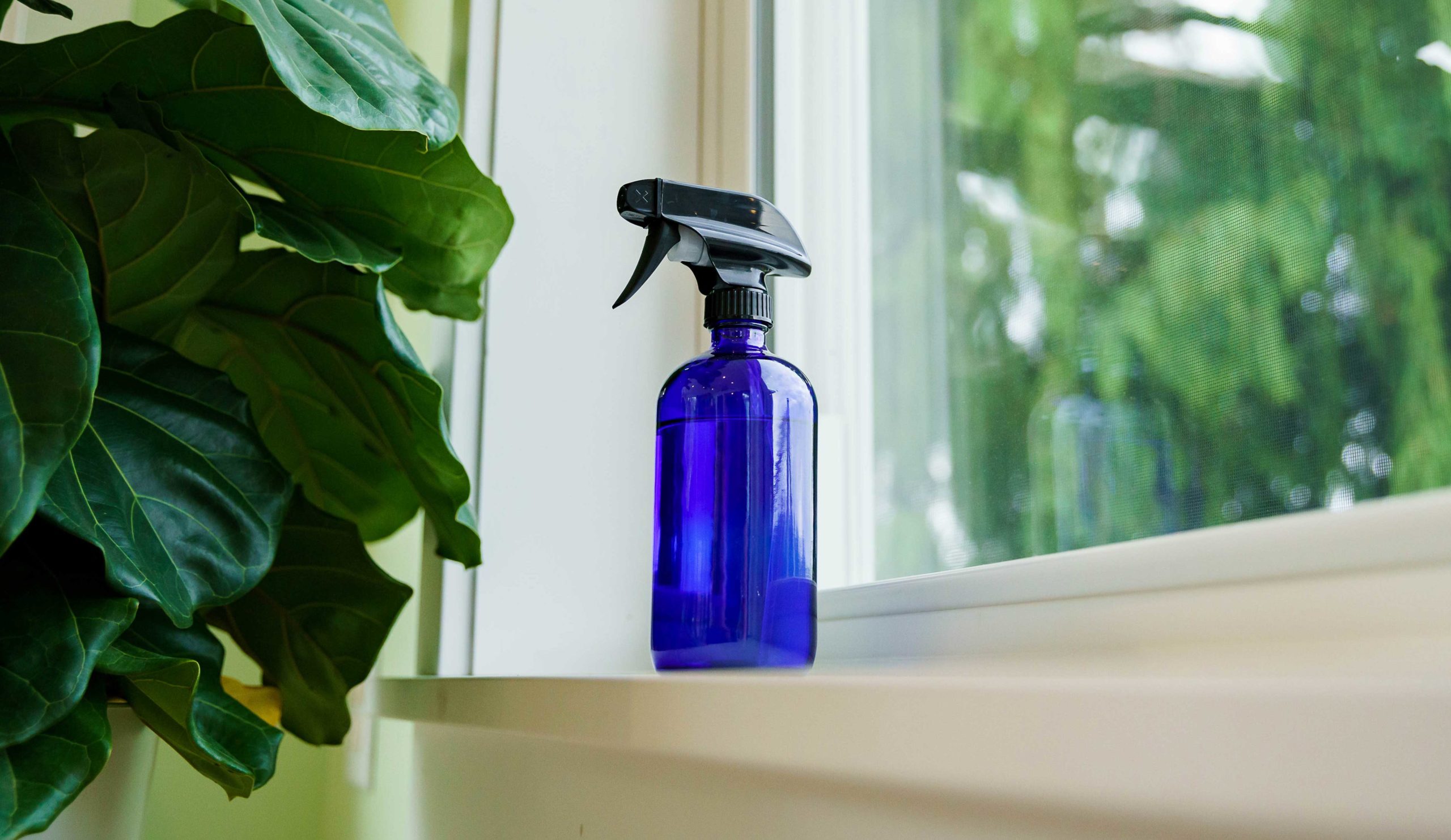 Homemade Window Cleaner