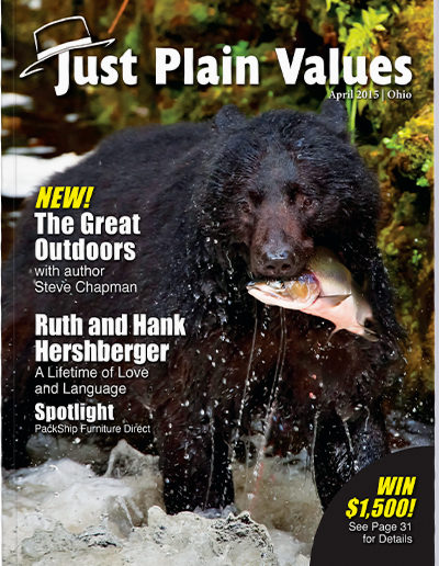 Plain Values Cover - Issue #22