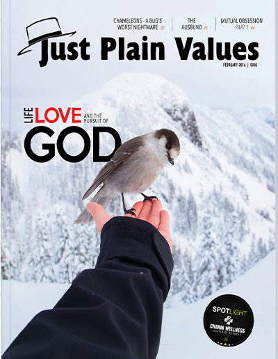 Plain Values Cover - Issue #32