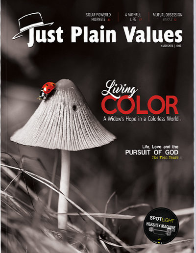 Plain Values Cover - Issue #33