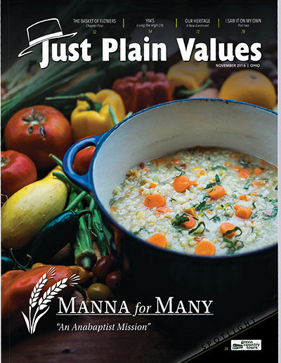 Plain Values Cover - Issue #41
