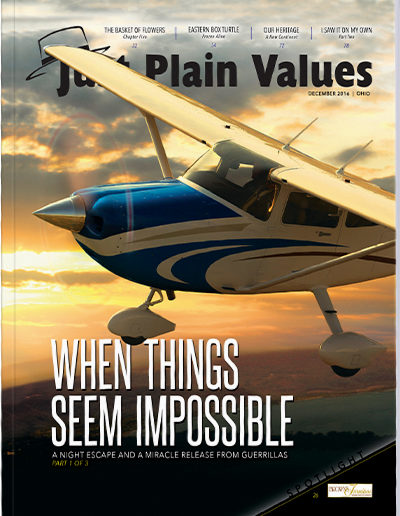 Plain Values Cover - Issue #42