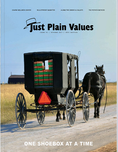 Plain Values Cover - Issue #52
