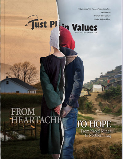 Plain Values Cover - Issue #69