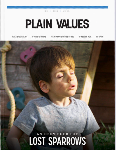 Plain Values Cover - Issue #82