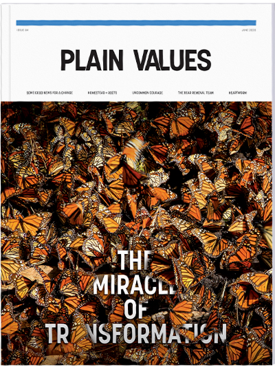 Plain Values Cover - Issue #84