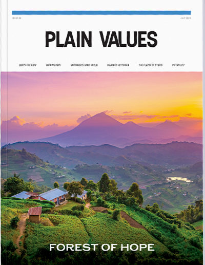 Plain Values Cover - Issue #85