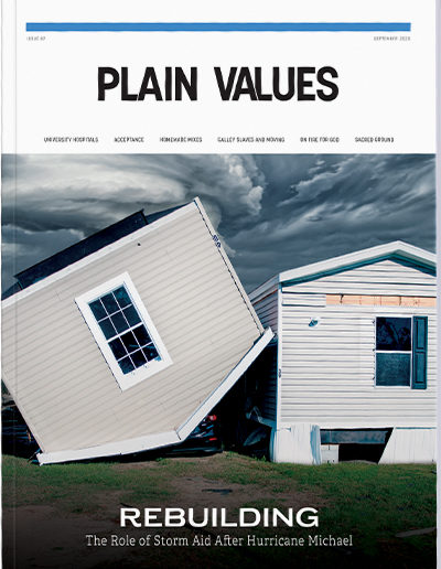 Plain Values Cover - Issue #87
