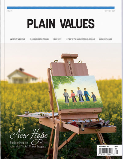 Plain Values Cover - Issue #99