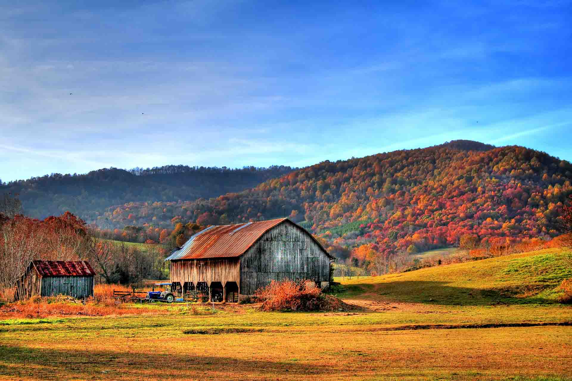 A old barn with rustry metal roof in a valley with brightly colored fall trees surrounding on the hillside.