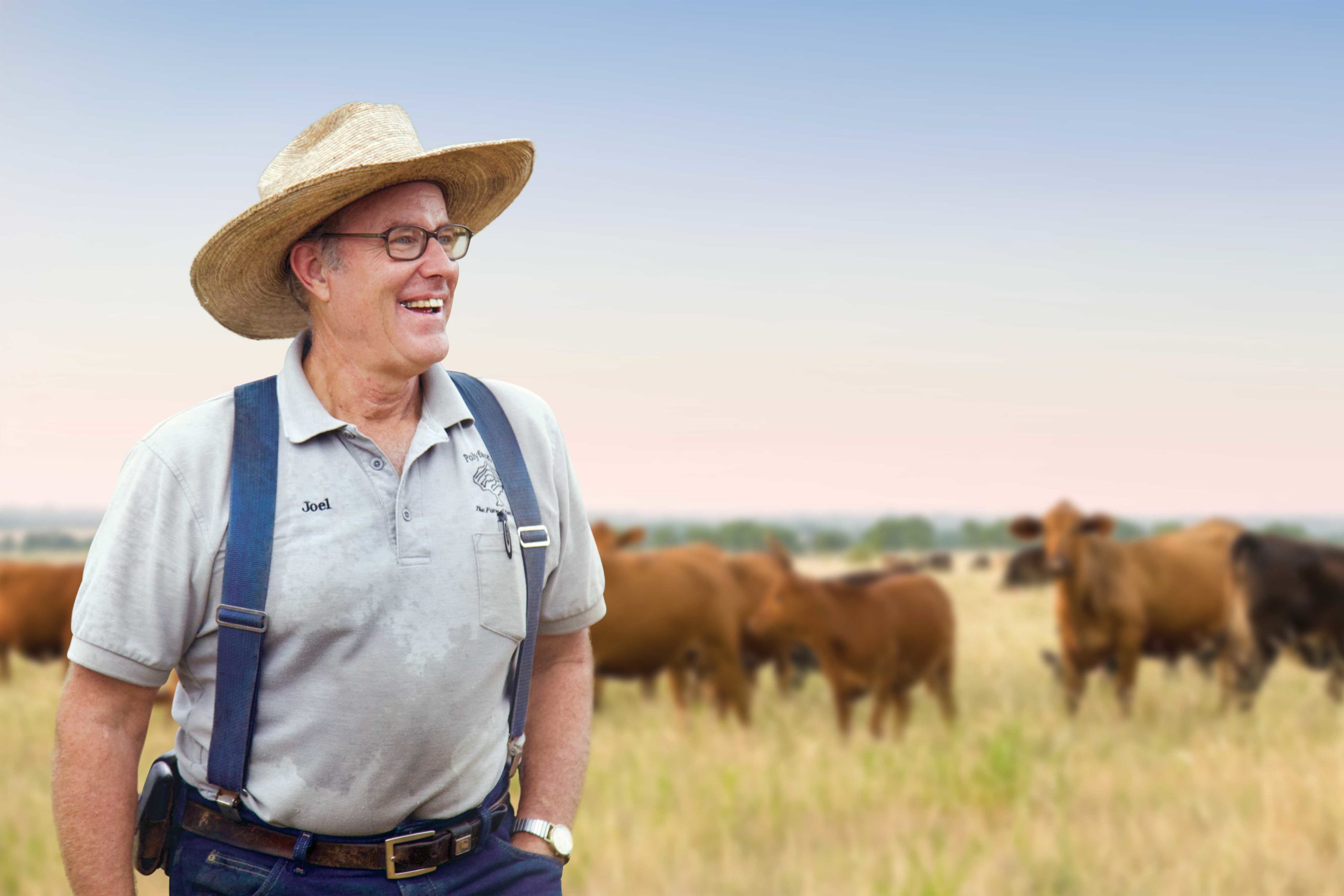 Joel Salatin in field of cattle on sunny day