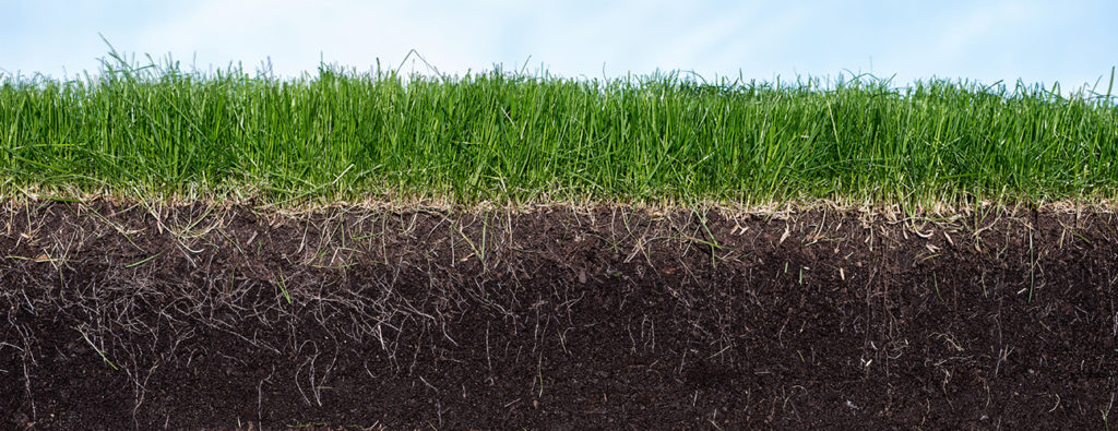 Joel Salatin Grass Root Structure