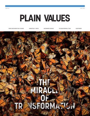 Issue 84 | June 2020