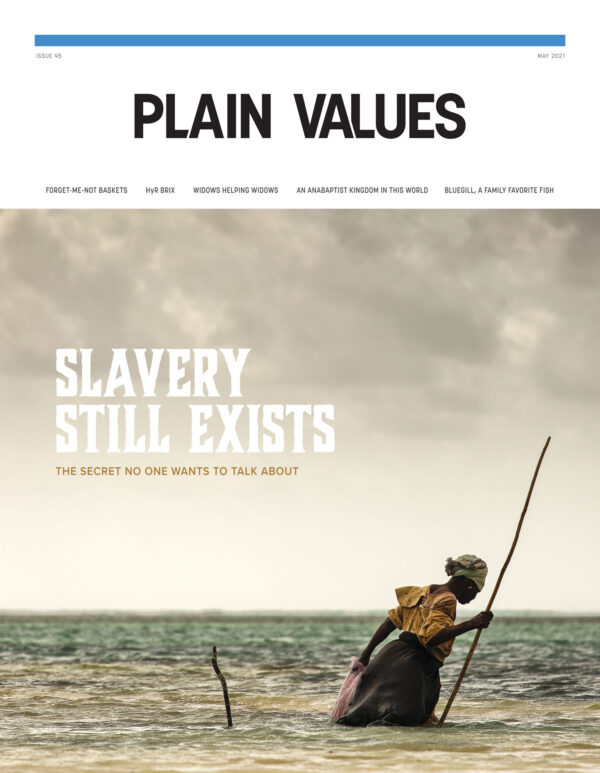 Issue 95  |  May 2021