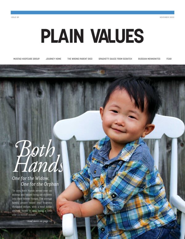 Issue 89  |  November 2020