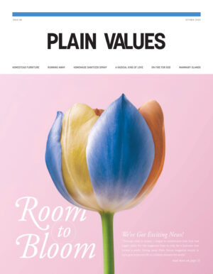Issue 88 | October 2020