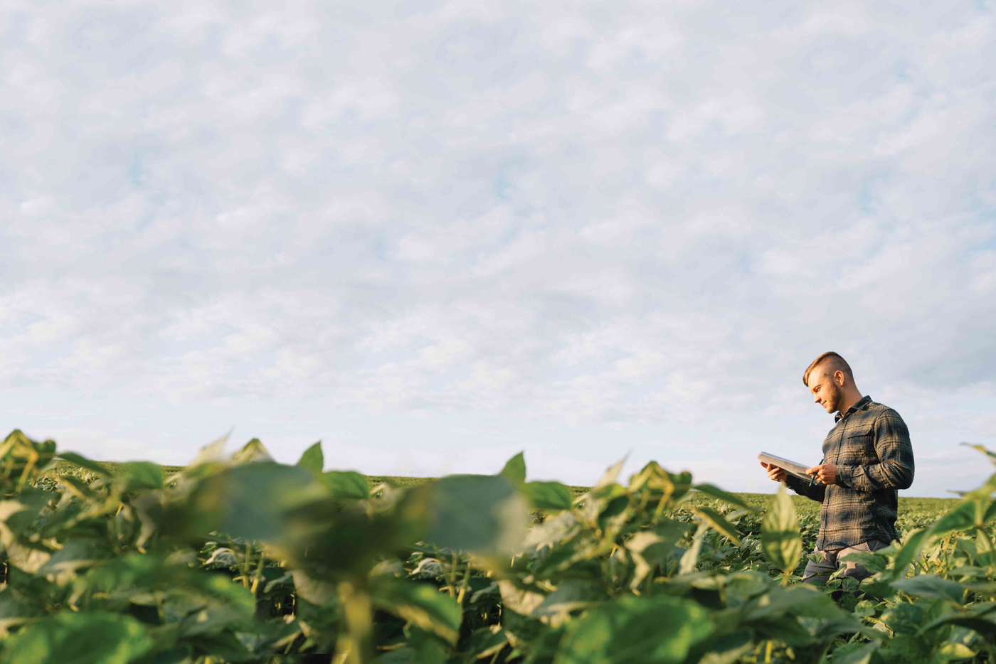 Joel Salatin - Starting a Farm