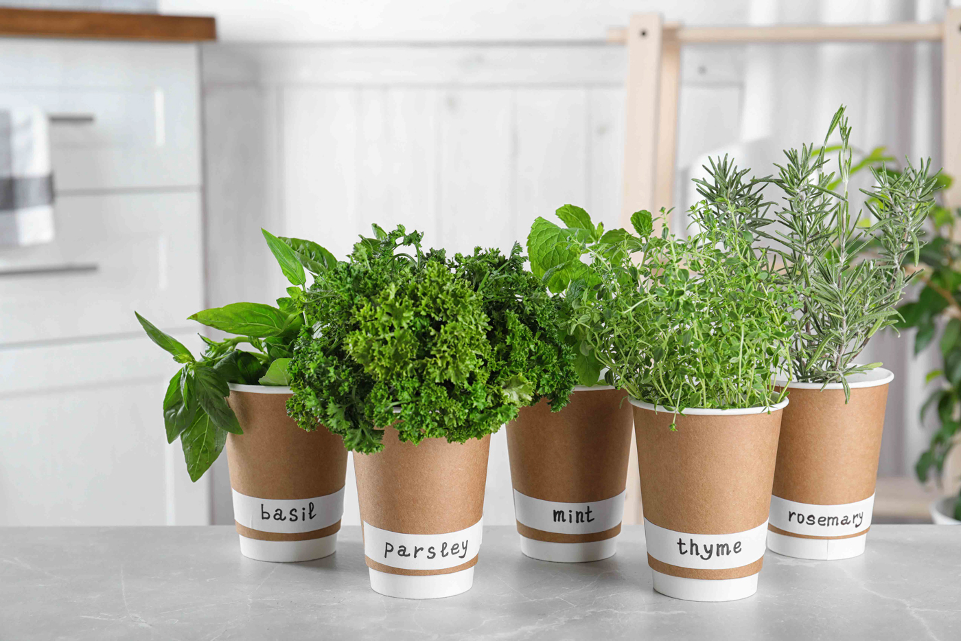 Plain Values - Homestead Roots - Saving Money