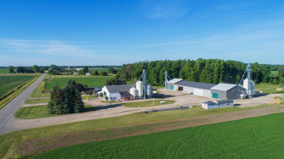 Eden Foods Plain Values