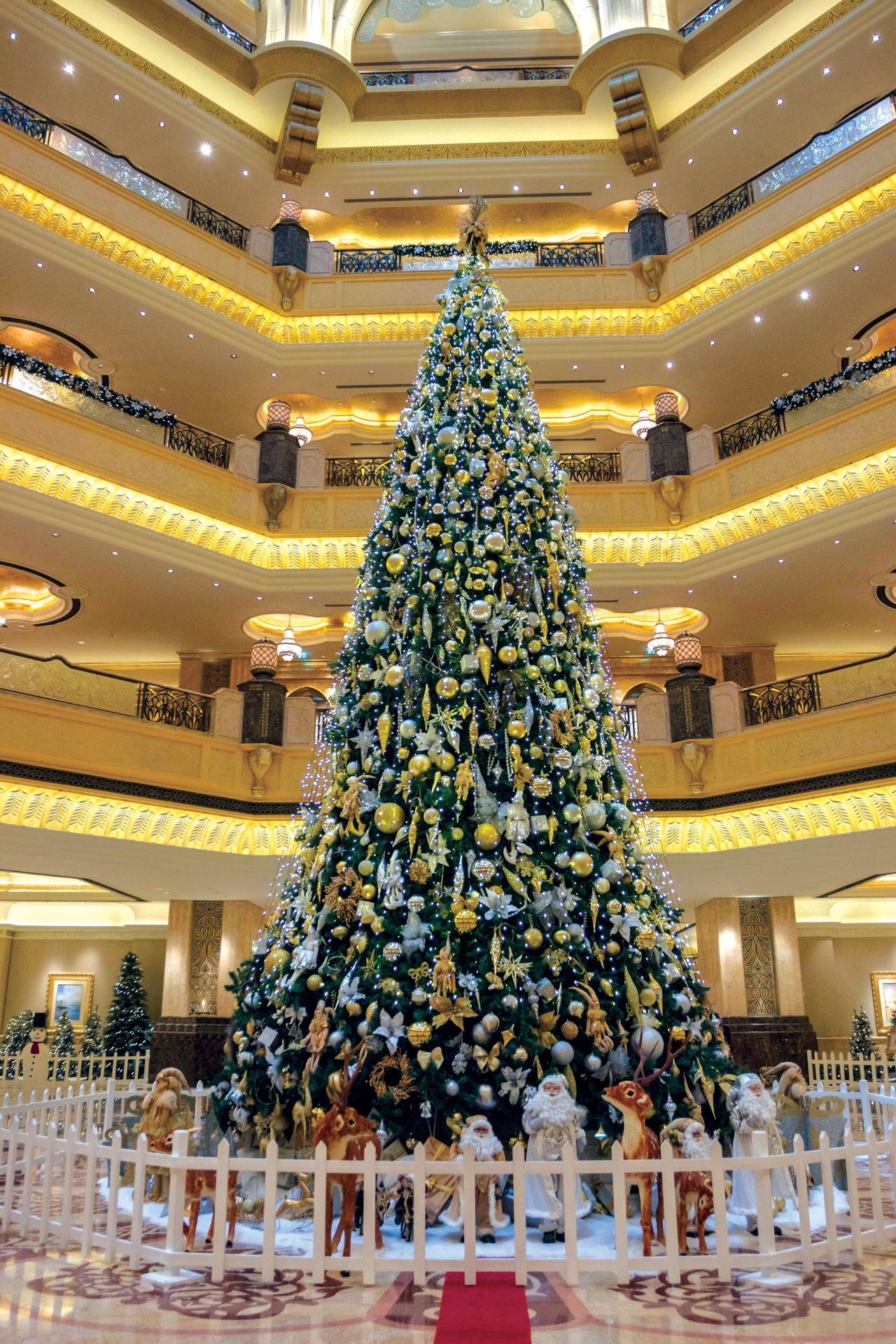 World's largest Christmas tree in Abu Dahbi.