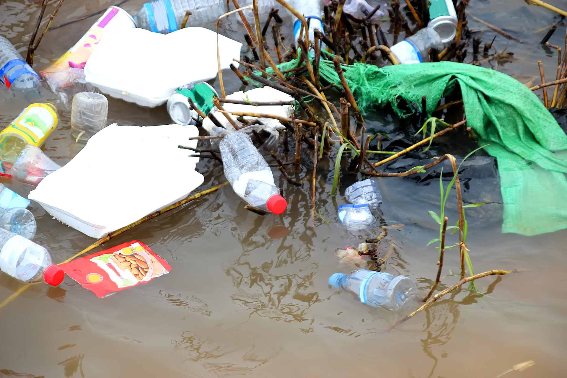 Trash and weeds in muddy water in Phnom Penh, 19, Bassak River, Cambodia