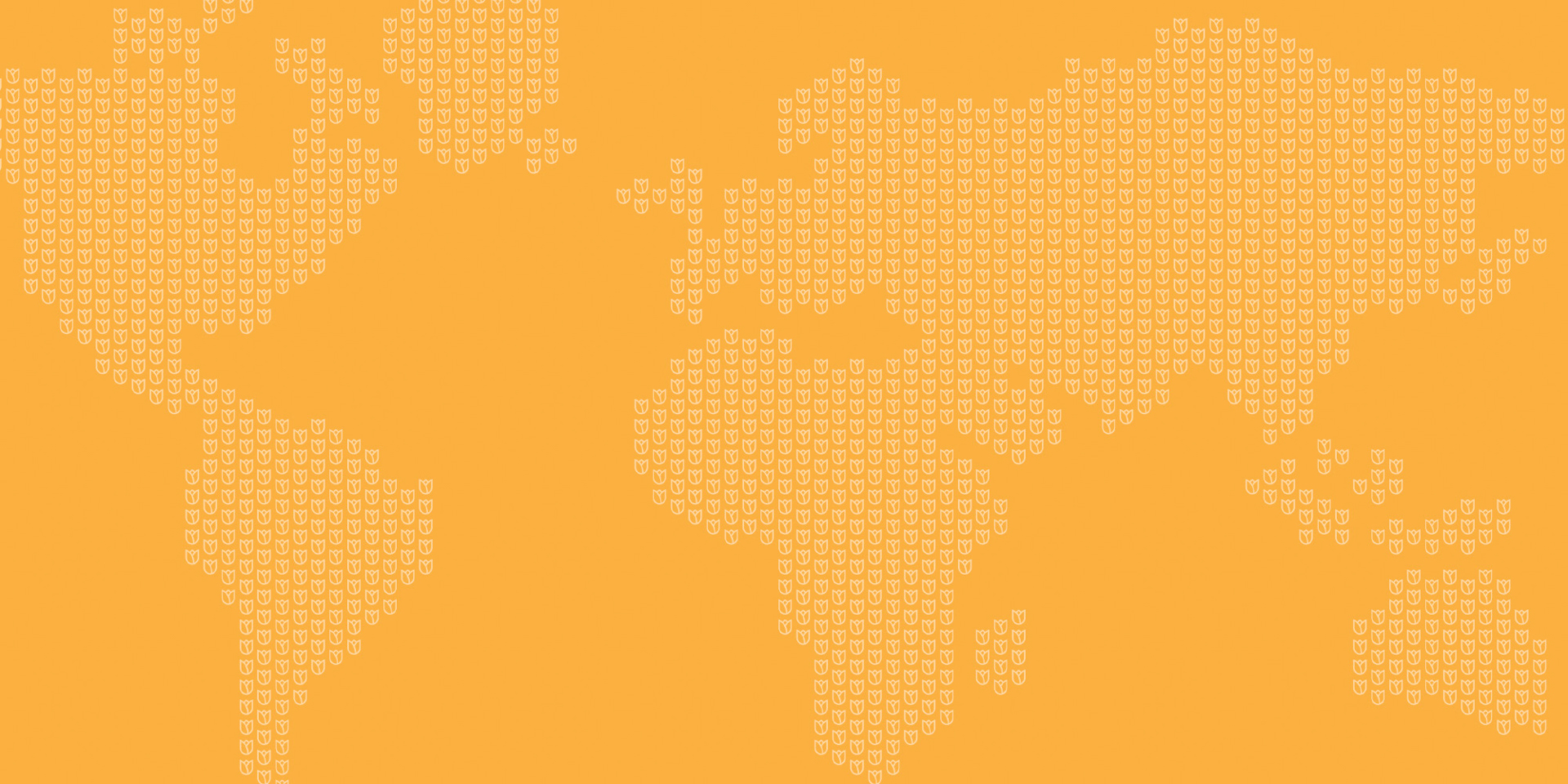 An Update From Wide Awake International | Aug, 2021
