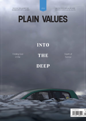 Into the Deep | Plain Values Cover