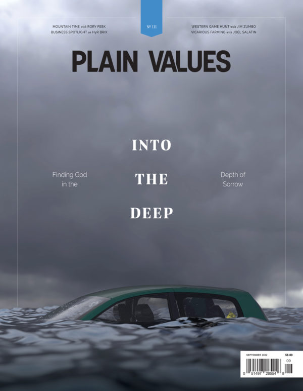 Into the Deep | Plain Values Cover