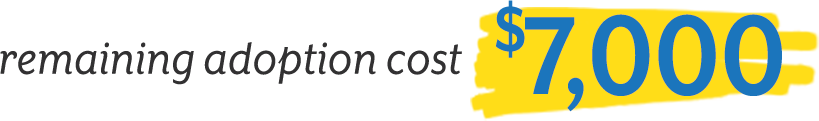 Remaining adoption cost for the Andersens - $7,000