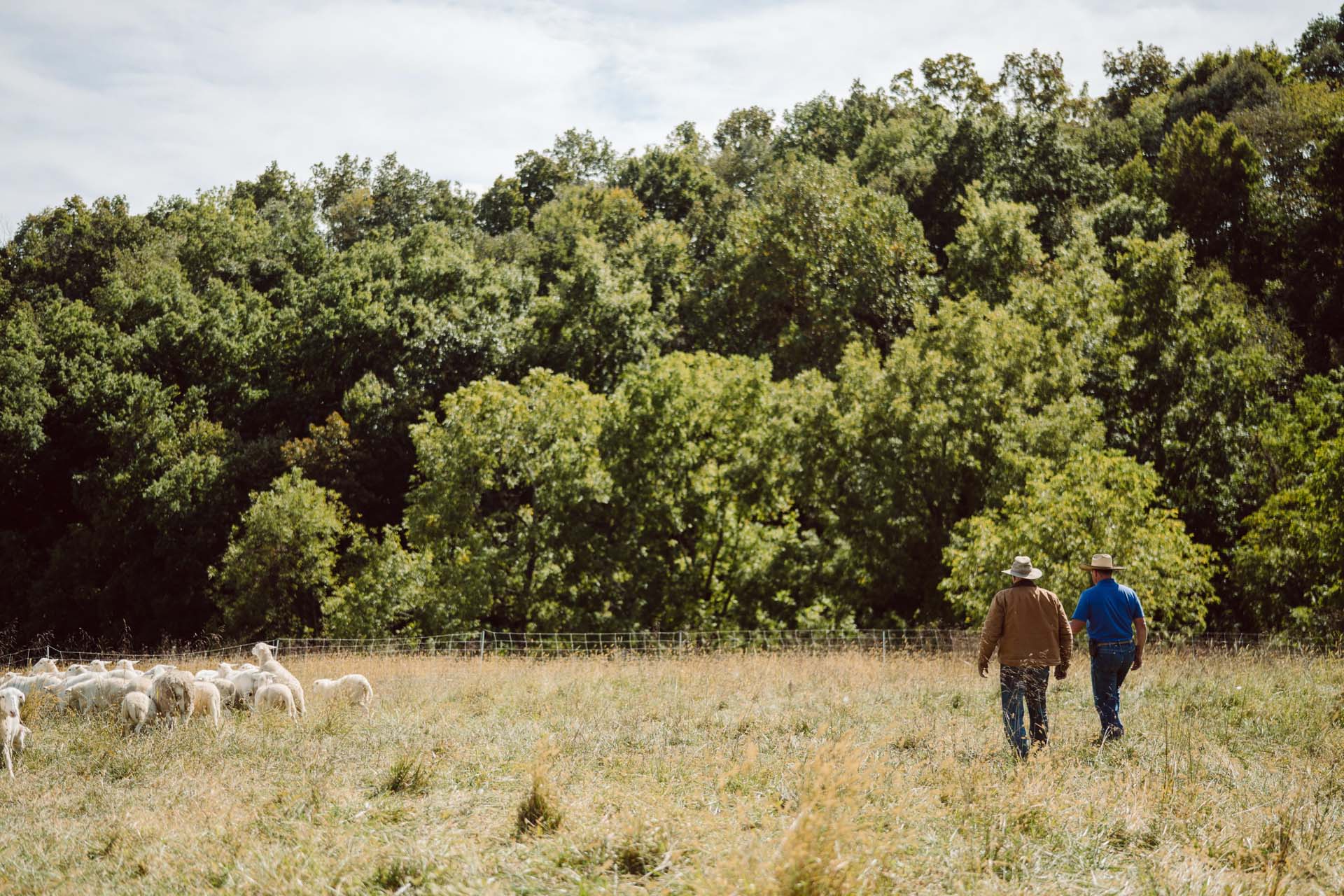 Joel and his son, Daniel, walking in their field with a forest in the background - From the Treewise article