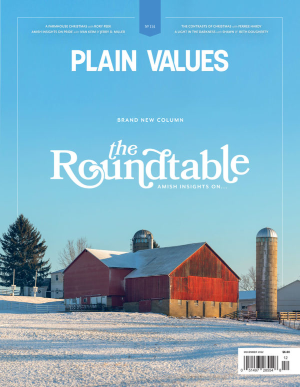 Plain Values December Cover