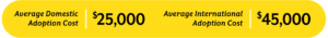 The average domestic adoption cost is $25,000.
Internationally the average is $45,000.