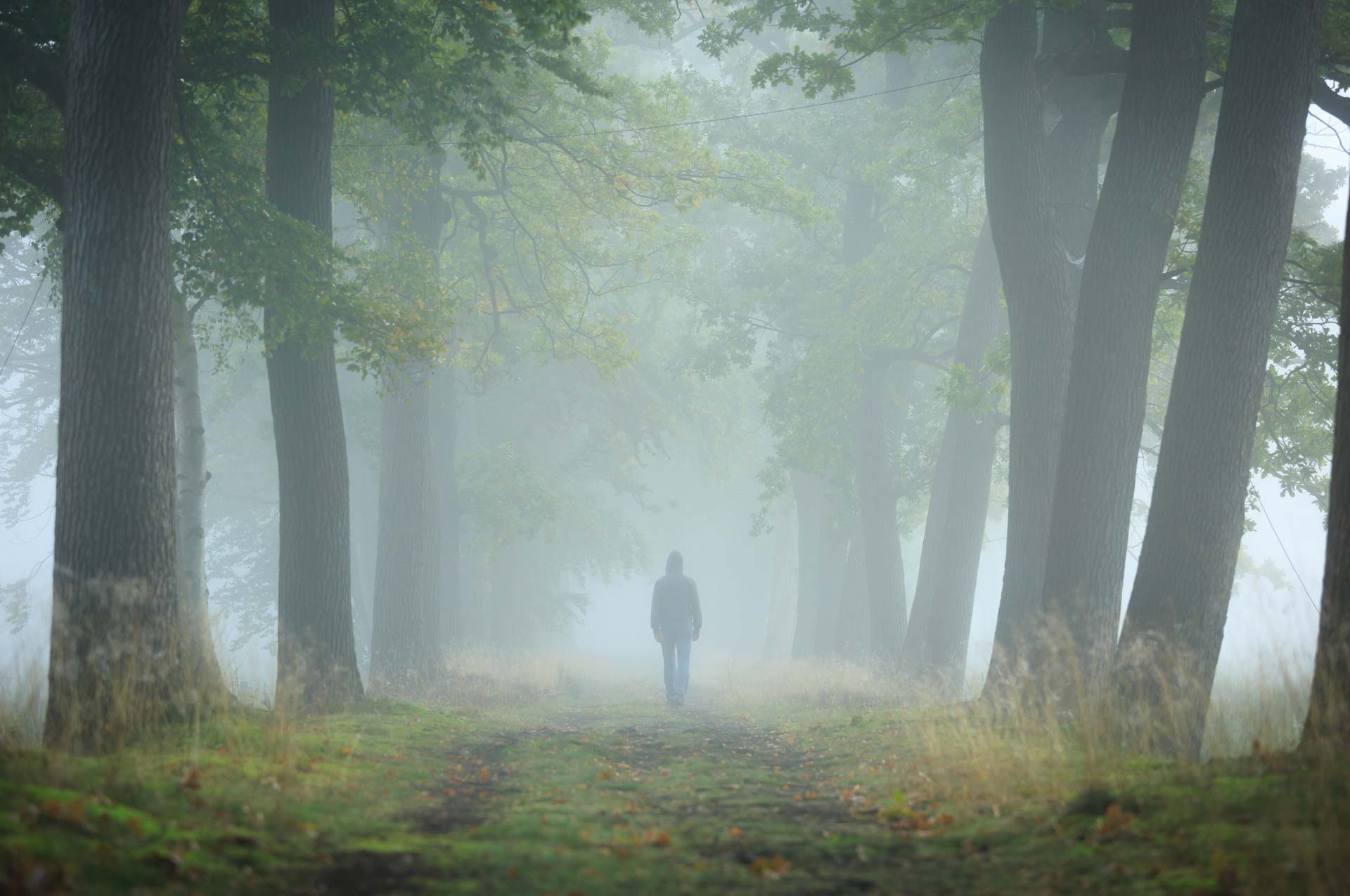 A lonely man with a grieving heart walking in a foggy forest for relief