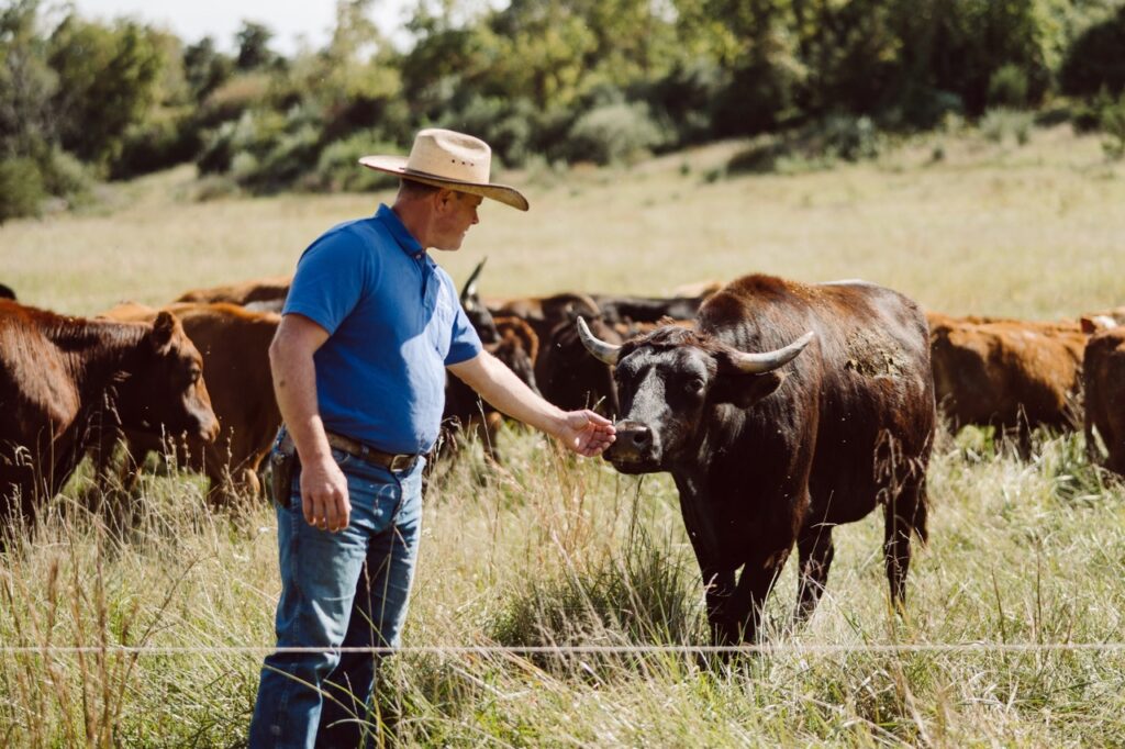 Confessions of a Steward - Fake Meat - Joel Salatin