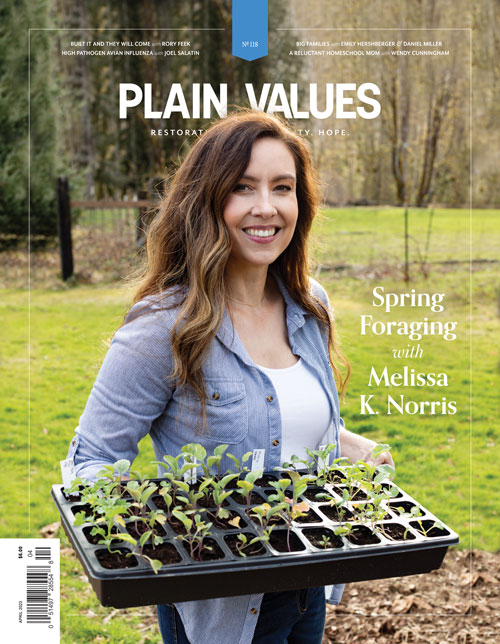 April 2023 Plain Values Cover