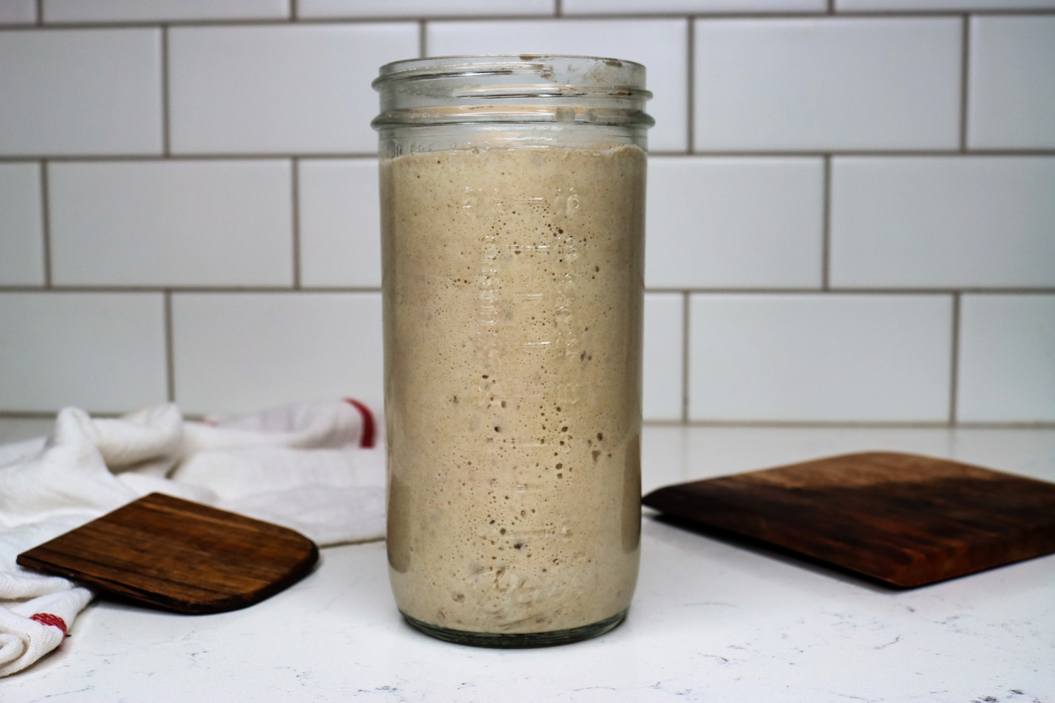 Sourdough starter