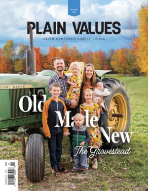 Issue 126  |  December 2023
