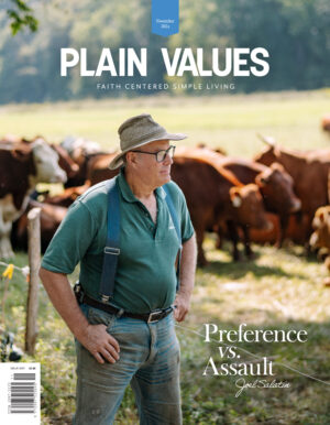 Issue 137 | November 2024