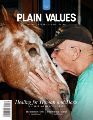 Issue 144  |  Summer 2026