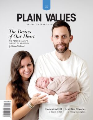 Issue 145  |  Fall 2026