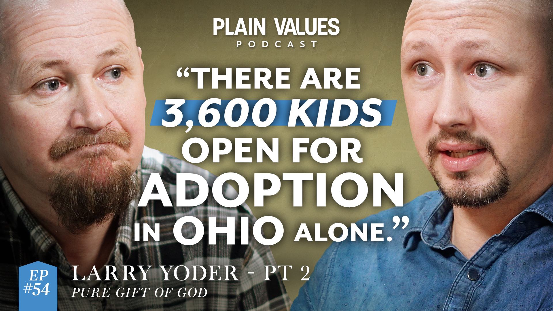 The Plain Values Podcast EP #54 – The Long and Beautiful Arc of Adoption Support